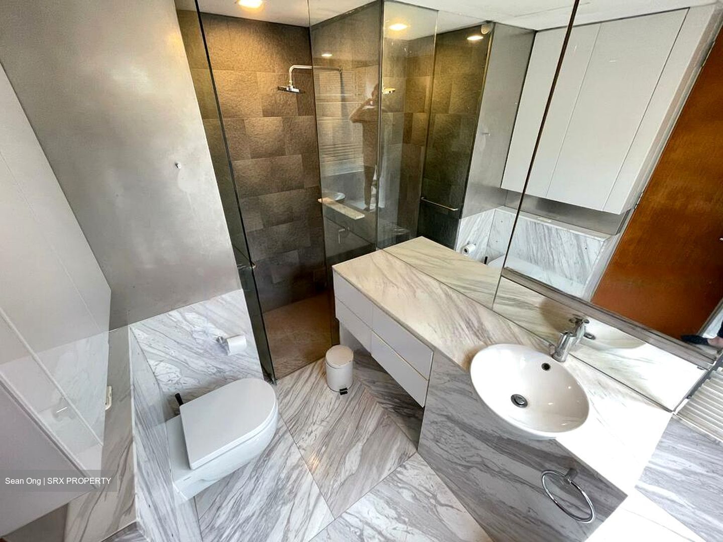 1 Moulmein Rise (D11), Apartment #480034691